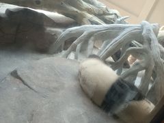 -宁波野生动物园
