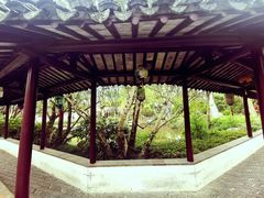 -上海醉白池公园