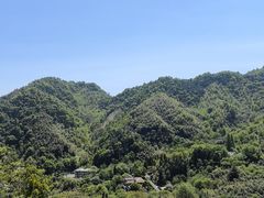 -东天目山风景区