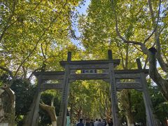 -杭州黄龙洞