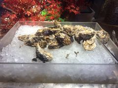 生蚝-乔哥铭洋海鲜自助(皇城恒隆广场店)