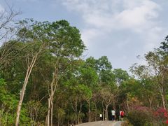 -聚龙山公园