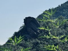 -阳台山自然风景区