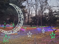 -青龙湖公园