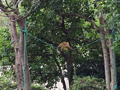 -上海动物园(地铁站)