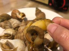 翡翠螺-安蒂娅·海鲜自助餐厅(安蒂娅美兰酒店)