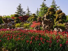 -上海鲜花港