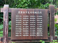 -沙美村