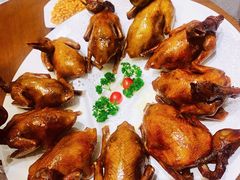 红烧乳鸽-光明招待所(邦凯科技园店)