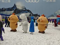 -广州热雪奇迹
