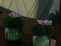 -大连君悦酒店·星海湾壹号Dalian·Dalian(星海广场店)