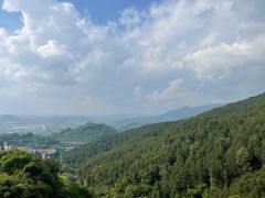 -铁山坪森林公园