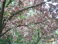 -西安青龙寺遗址景区