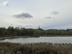 -北坞公园