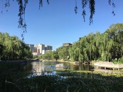 -文瀛公园