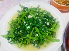 -杨氏青龙虾·羊蝎子(托乐嘉店)