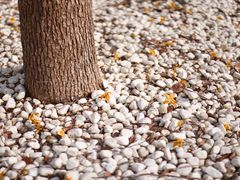 -半岛1919创意园区