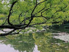 -杭州植物园