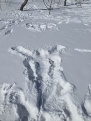 -大秃顶子山