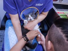 -萌兽医馆·绝育·24小时内科·宠物医院(德胜店)