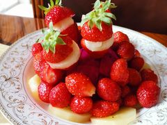 -爱月宝月嫂·育儿嫂(哈尔滨总店)