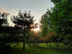 -仁和公园(顺义区)