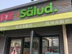 门面-Salud撒露欧洲冻酸奶(798艺术区店)