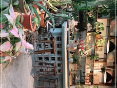 -自由生长植物工作室(深港花卉中心店)