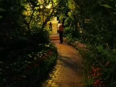 -天鹅湖生态旅游风景区