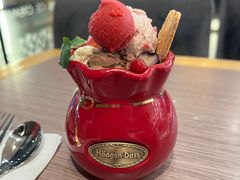-哈根达斯(石家庄北国店)