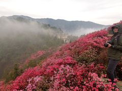 -木兰云雾山