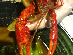 -红钳侠小龙虾·烧烤(中赢康康谷店)