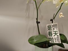 -麻喜大