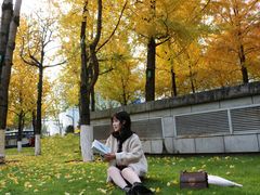 -重庆市江北嘴中央商务区中央公园