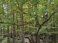 -北京植物园南门售票处