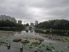 -映月湖公园