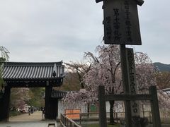 -醍醐寺