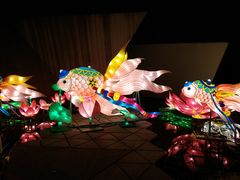 -武汉园博园(武汉自然博物馆)