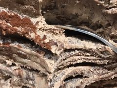 招牌巧克力千层-Awfully Chocolate(嘉里城店)