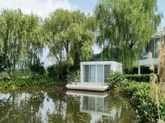 -龙坞茶村