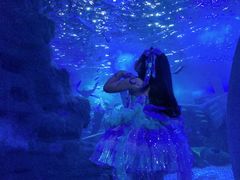 -江和美海洋公园