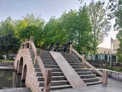 -嘉定紫藤园