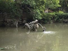 -汇龙潭