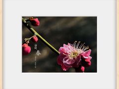 -东升八家郊野公园