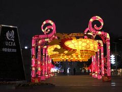 -重庆市江北嘴中央商务区中央公园