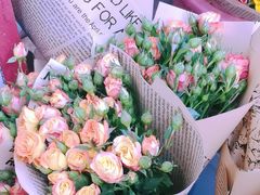 -循礼门鲜花花市(武汉循礼门店)