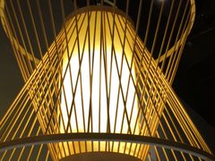 -探窝·竹笙椰子鸡(杨箕店)