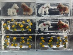 -沈阳奥体冰雪嘉年华