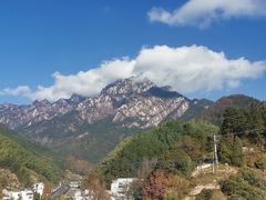 -自游人·美食一楼·地道徽菜(三十年名店)