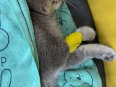 -谐和贝康宠物医院24小时·宠保定点(急重症转诊中心)